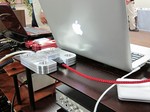 IMG_0766.jpg